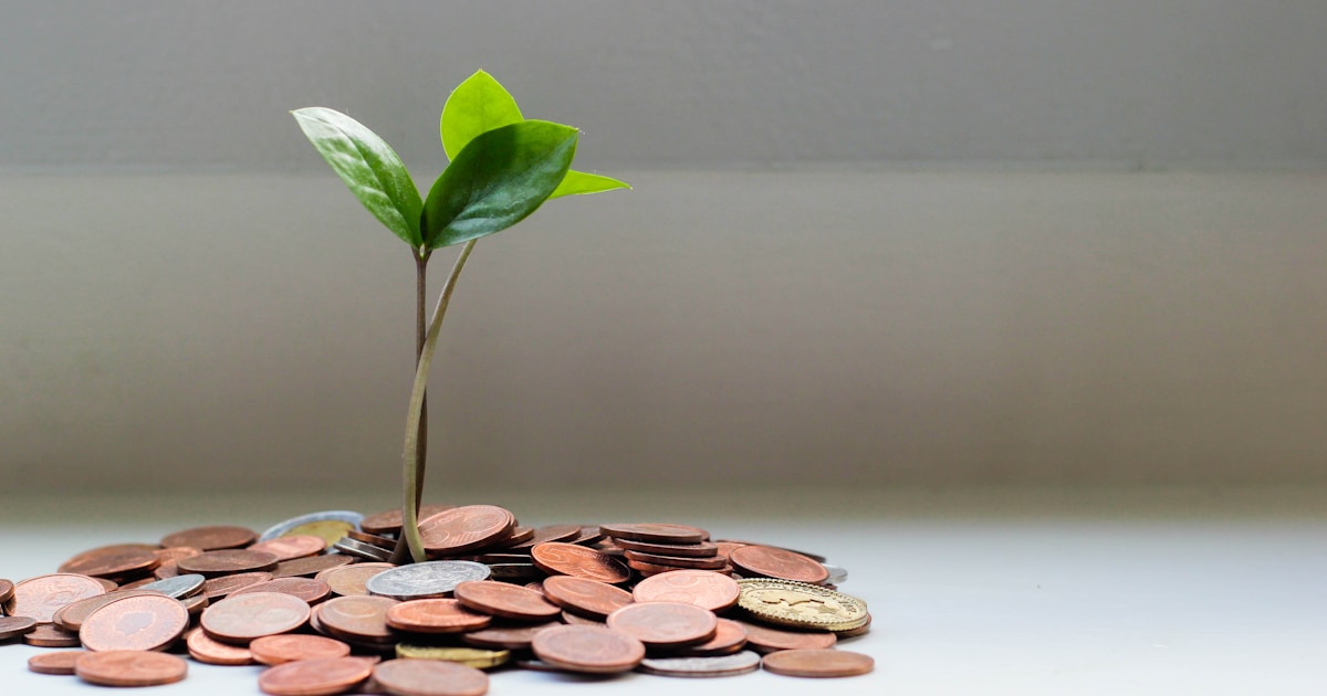 Tax Lien and Tax Deed Auctions – Let’s see How they Work
